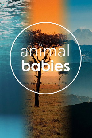 Animal Babies (TV Mini Series 2016) 2016