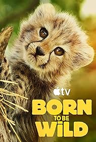 Born to be Wild (2025)