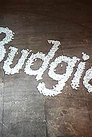 Budgie (1971)