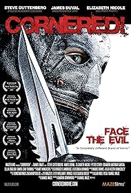 Cornered! (2009)
