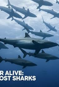 Extinct or Alive: Land of the Lost Sharks (2020)