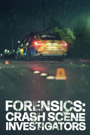 Forensics: Crash Scene Investigators (2025)