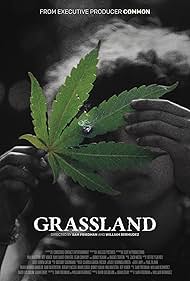 Grassland (2024) Grassland (2024)
