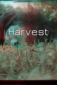 Harvest (2024)