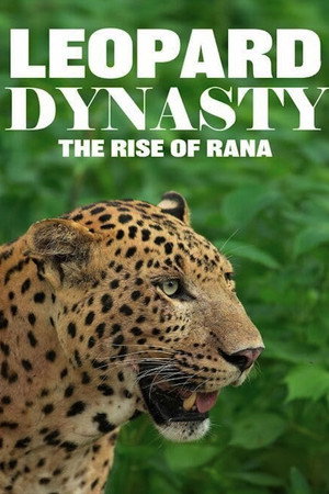 Leopard Dynasty – The Rise of Rana (2025)