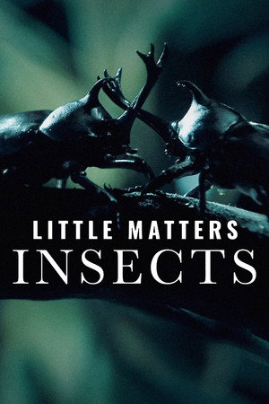 Little Matters: Insects (2014)