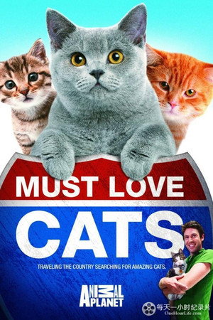 Must Love Cats (2011)