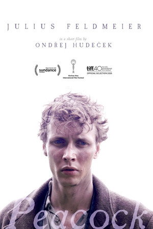 Peacock (2015)