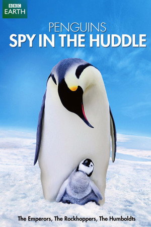 Penguins - Spy in the Huddle (2013)