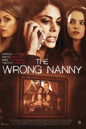 The Wrong Nanny (2017)