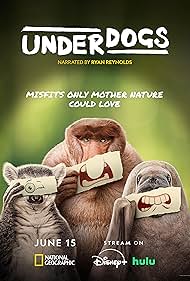 Underdogs (2025)
