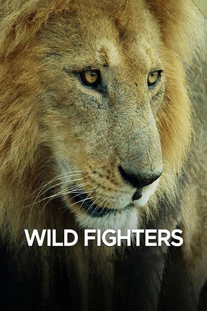 Wild Fighters (TV Series 2021) 2021